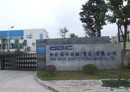 百合是什么意思_劳务收入是什么意思(3)